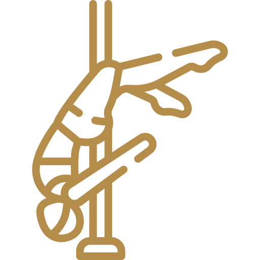 Custom Courses of Training